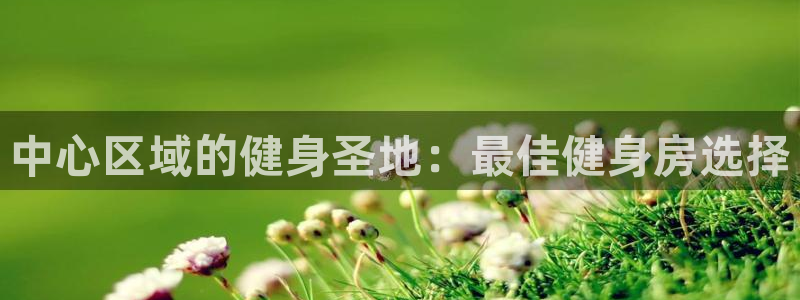 龙8国际龙8官方
