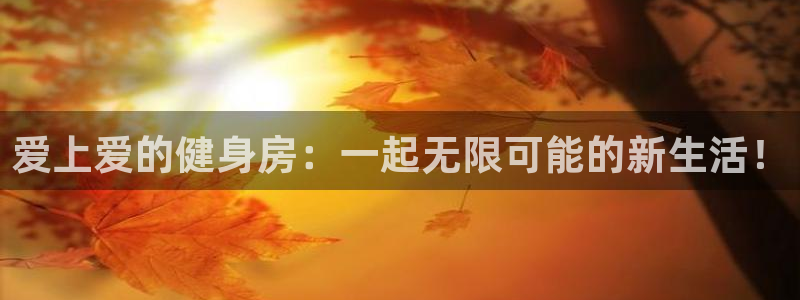 龙8国际网站