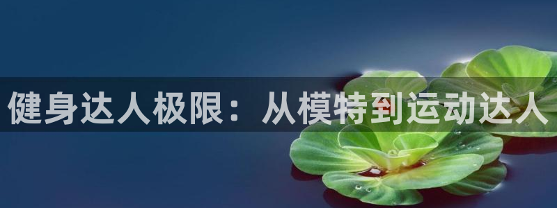 龙8国际游资如何