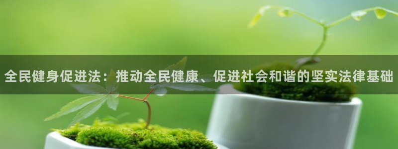 龙八国际app下载客户端