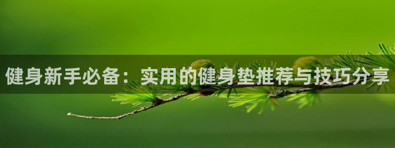 龙8国际pt