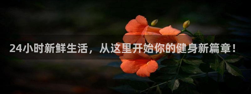 龙8国际唯一官网手游登入口