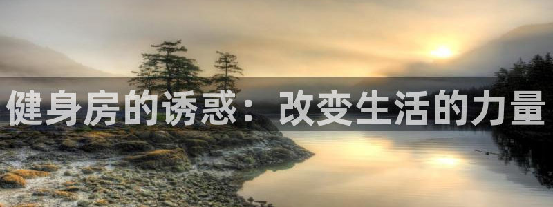龙8国际网站