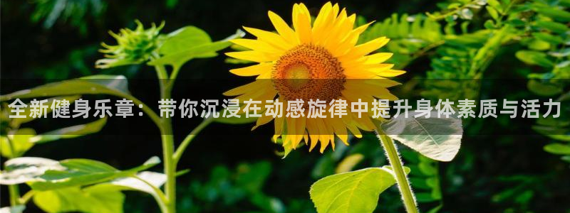 龙8国际官网