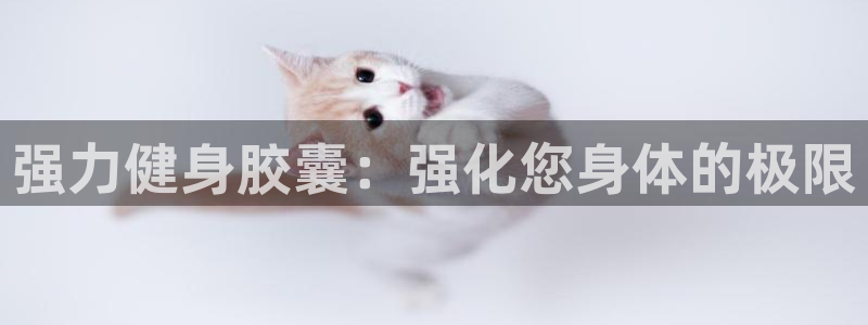 龙8国际官网老虎机