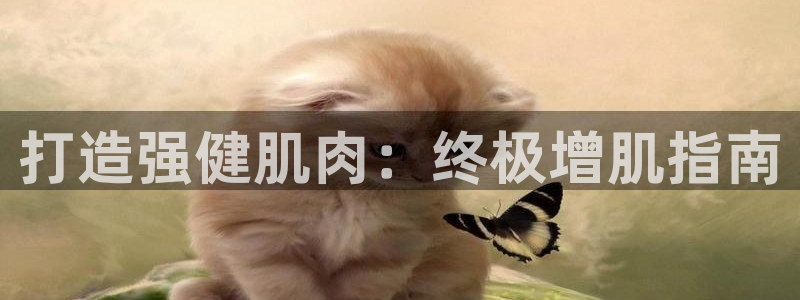 龙8国际手机版下载