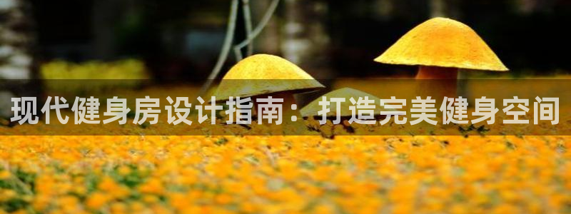 龙8国际登录地址