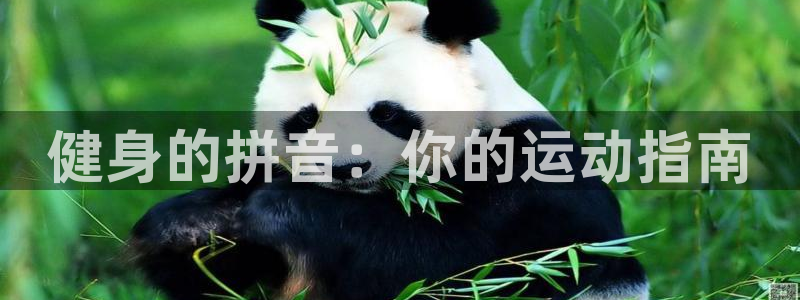 龙8国际app下载手机版