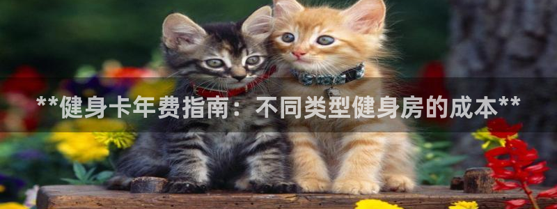 龙八国际app客户端下载不了