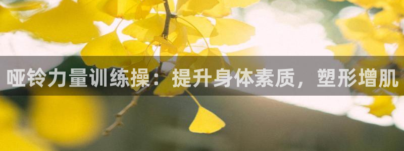 龙8游戏平台官方