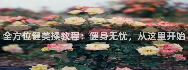 龙8国际网站是多少