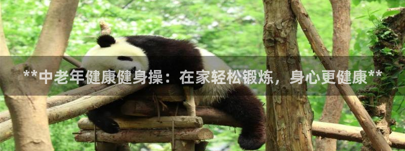 龙8国际网站是多少