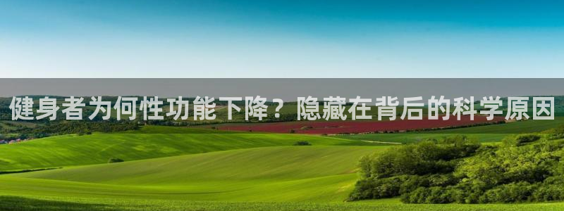 龙8游戏官方网站p