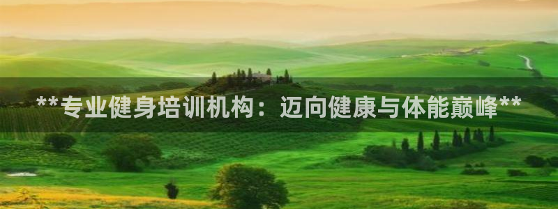 龙8国际是真的吗