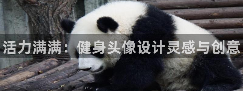 龙8国际唯一官网手游登录入口